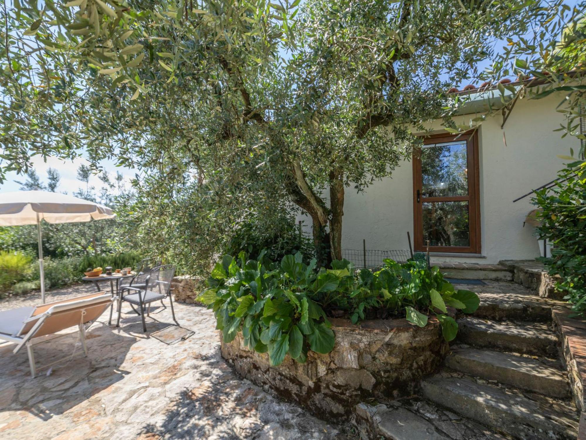 Holiday Home Olivo By Interhome Castellina in Chianti Exteriér fotografie